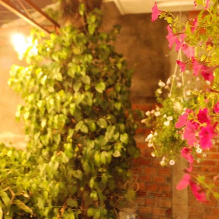 Winna Airport Hostel Дананг Екстериор снимка